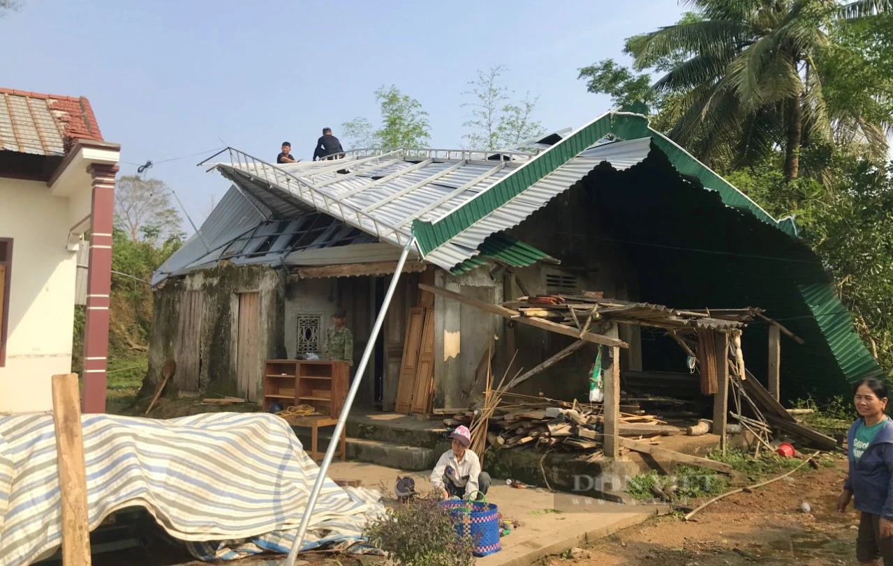 Xuất hiện trận lốc xoáy kinh hoàng, toàn bộ cánh đồng ngô hơn 170ha của một xã ở Nghệ An bị xóa sổ- Ảnh 3.