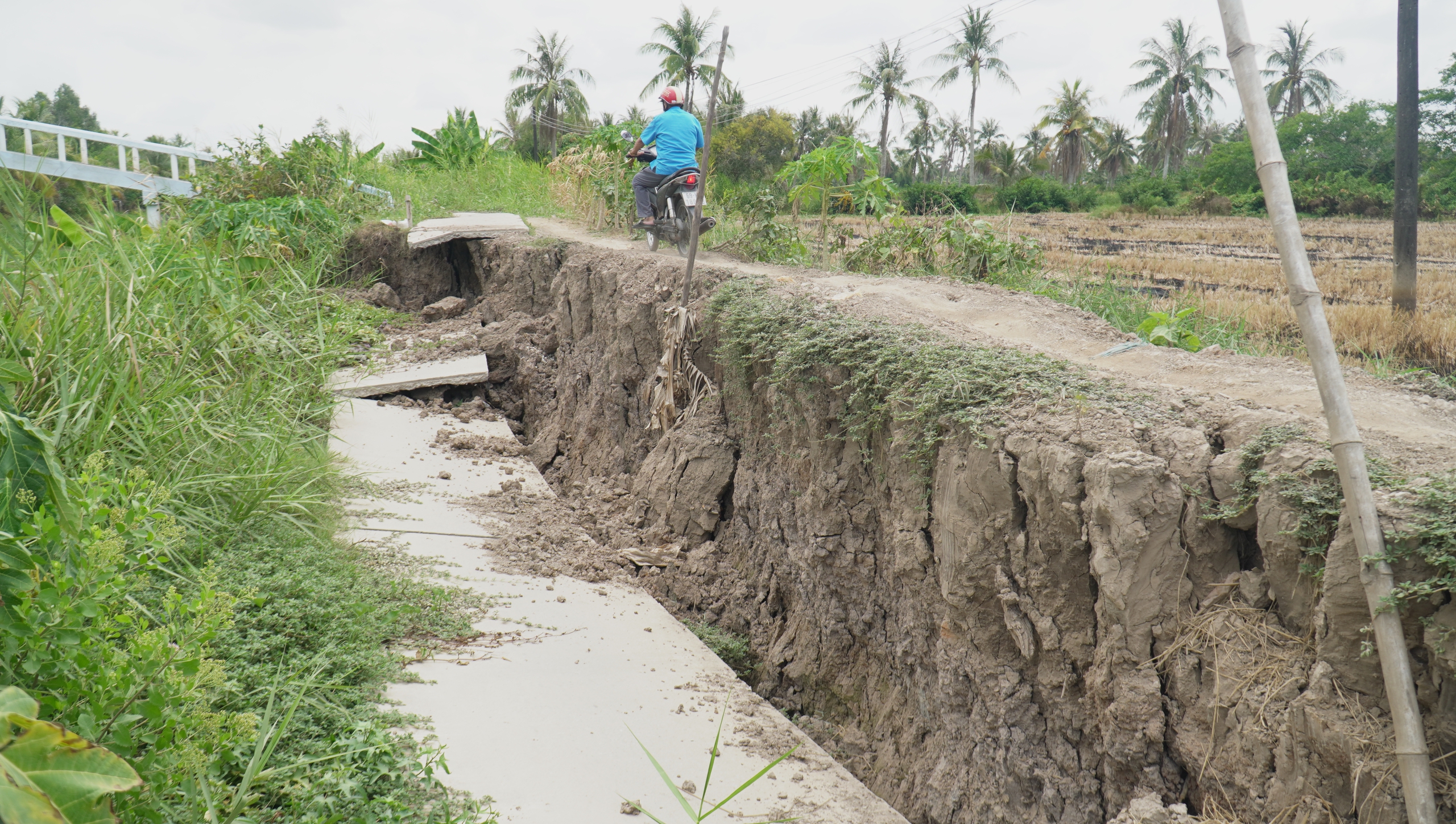 Các dòng sông khô cạn, sụt lún đất nghiêm trọng, tỉnh Cà Mau công bố khẩn cấp hạn hán cấp hai- Ảnh 2.
