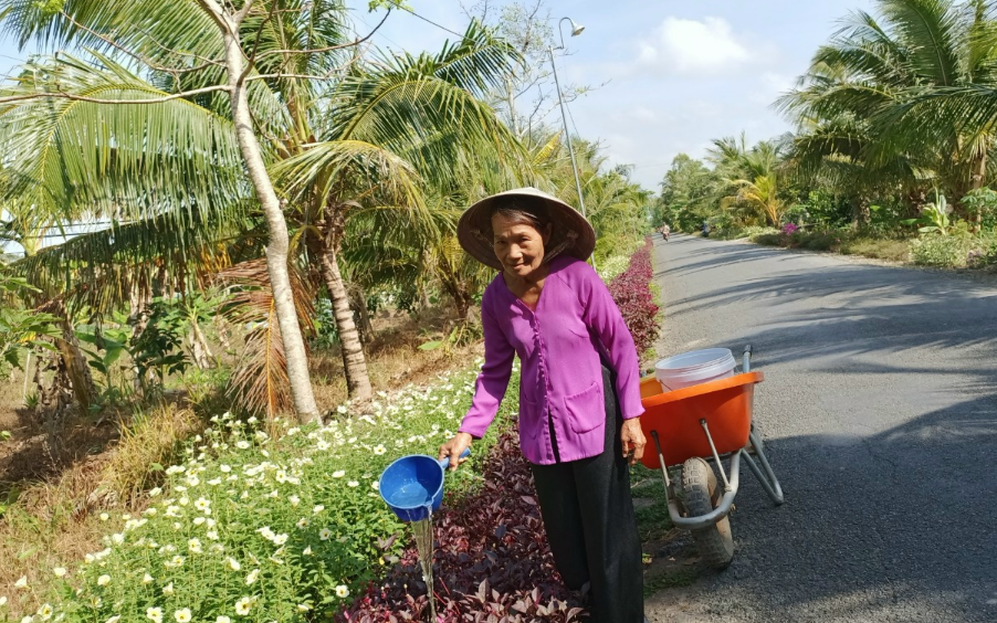 Tuyến đường hoa nông thôn mới đẹp tinh tươm ở một xã của Vĩnh Long, công sức đóng góp của một phụ nữ