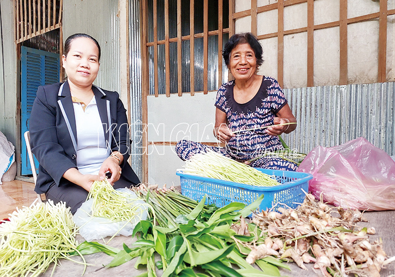 Ở xã này của Kiên Giang, người Khmer trồng riềng lấy ngó kiểu gì mà nhà nào cũng "hái" ra tiền?- Ảnh 2.