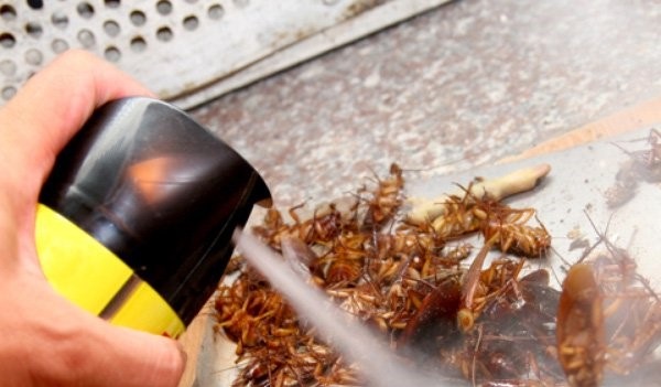 Kinh doanh chế phẩm diệt côn trùng cần đáp ứng điều kiện gì để không bị xử phạt?- Ảnh 1.