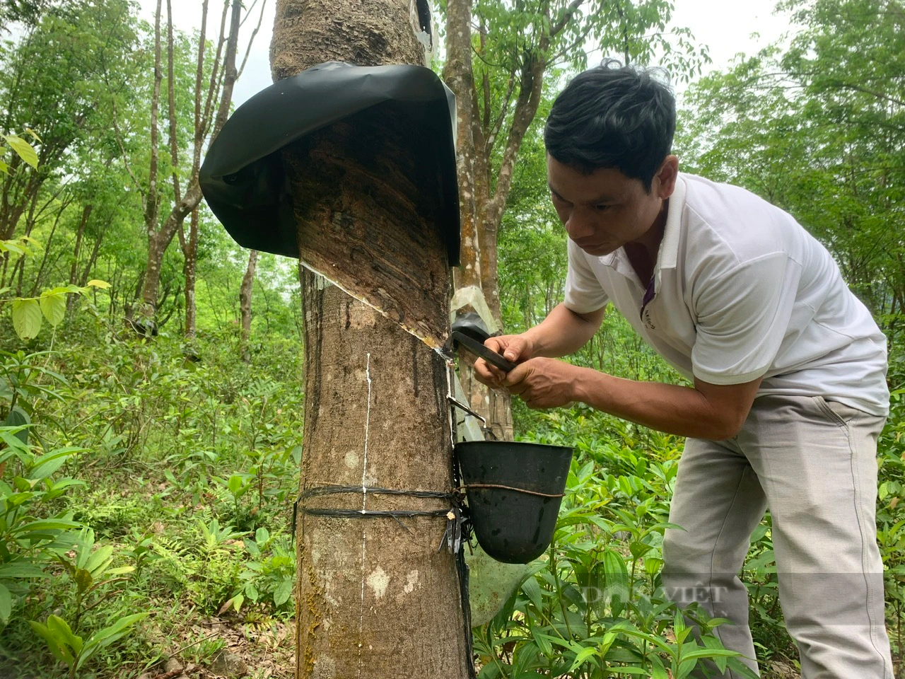 Nông thôn mới Quảng Nam: Huyện Bắc Trà My chọn tiêu chí thu nhập của người dân làm trọng tâm- Ảnh 3.