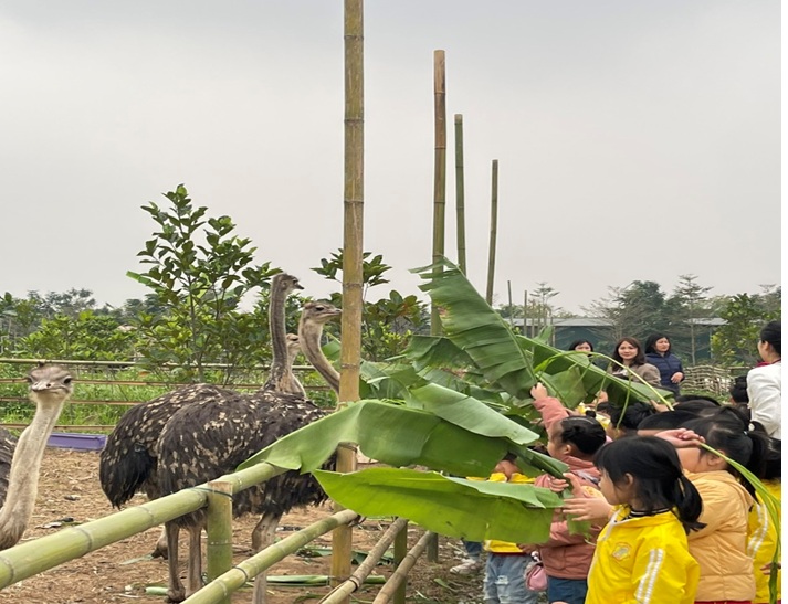 Khách thích thú thăm quan, trải nghiệm không gian nông nghiệp hữu cơ giữa Thủ đô- Ảnh 3.