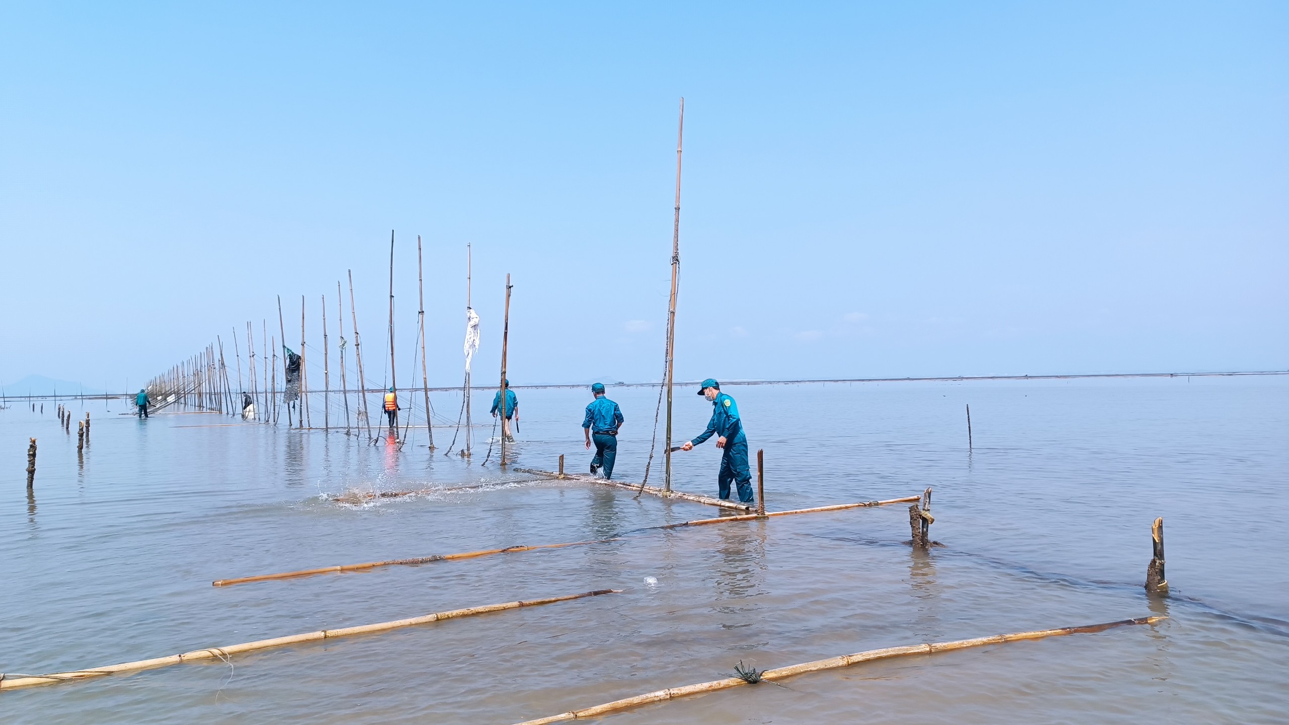 Một thành phố của tỉnh Quảng Ninh xử lý 15.000m lưới săm khai thác thủy sản trái phép trên 70ha đất bãi triều- Ảnh 1.