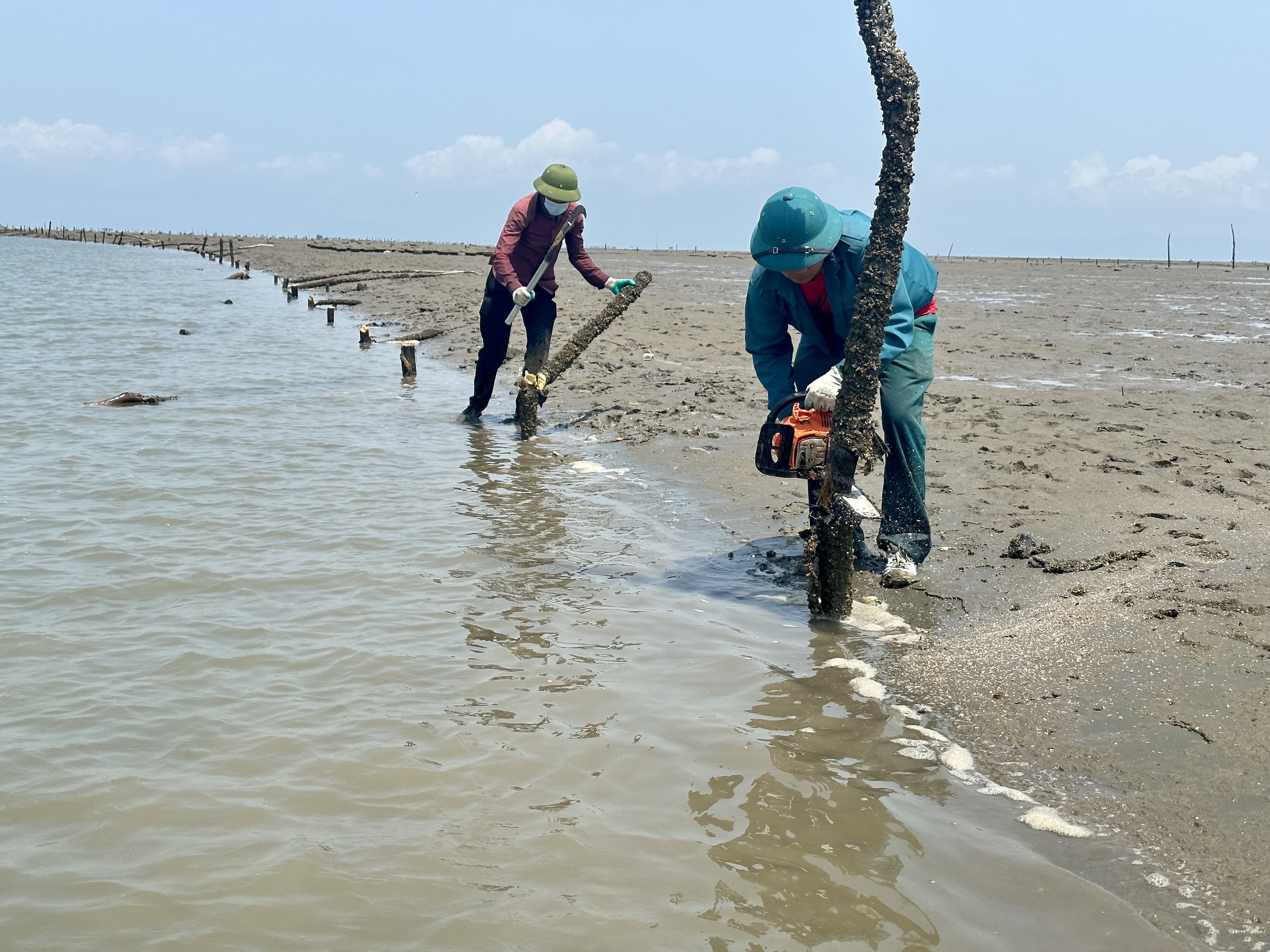 Một thành phố của tỉnh Quảng Ninh xử lý 15.000m lưới săm khai thác thủy sản trái phép trên 70ha đất bãi triều- Ảnh 2.