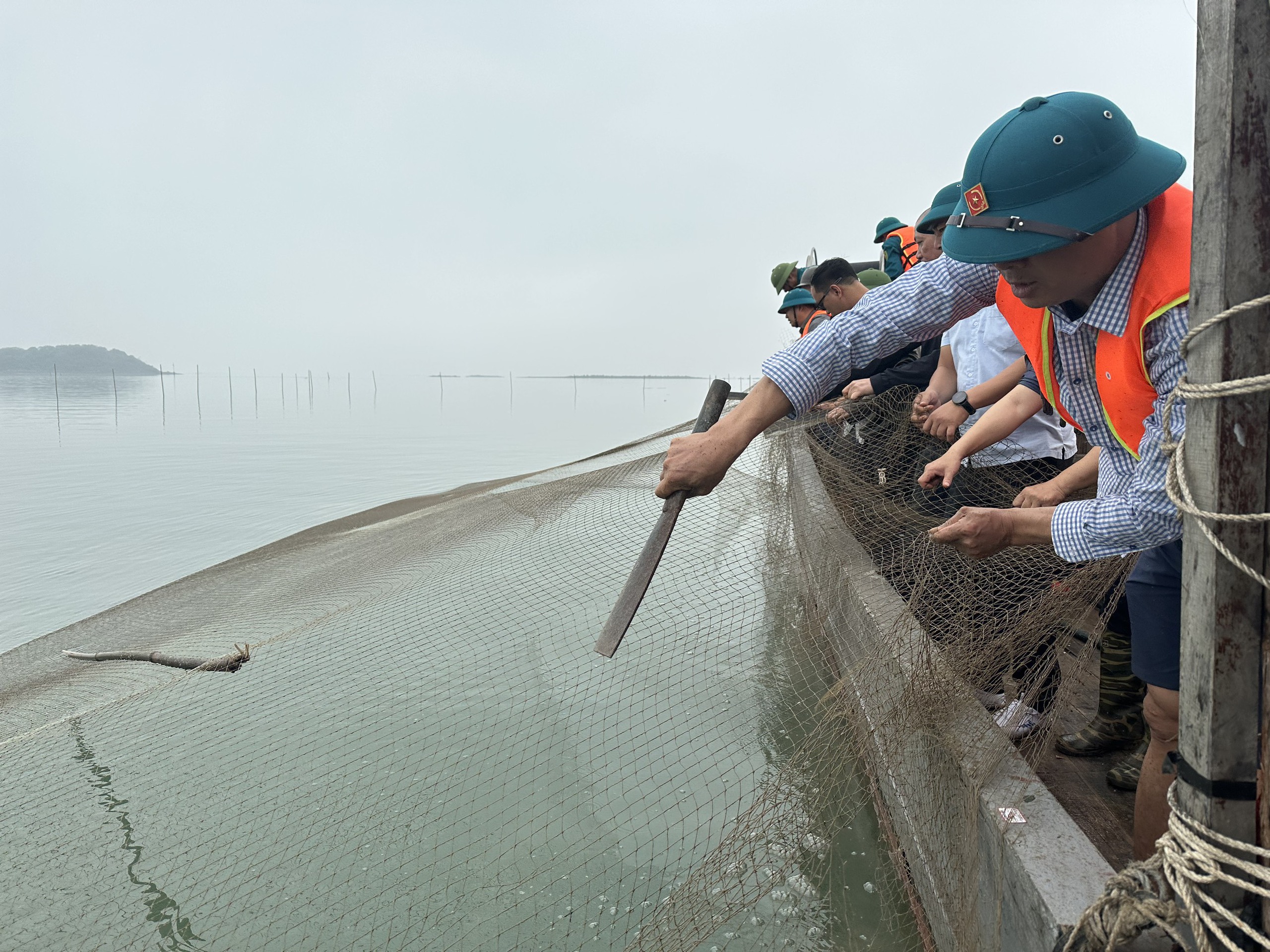 Một thành phố của tỉnh Quảng Ninh xử lý 15.000m lưới săm khai thác thủy sản trái phép trên 70ha đất bãi triều- Ảnh 3.