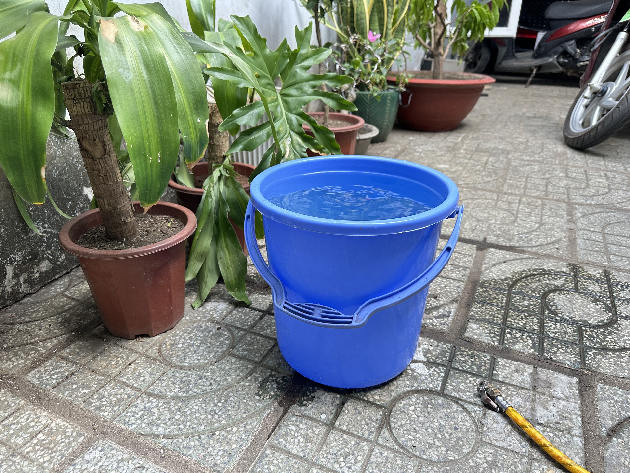 Một nhà máy nước ở Lâm Đồng phải tạm ngừng cấp nước trong thị trấn do khô hạn- Ảnh 4.