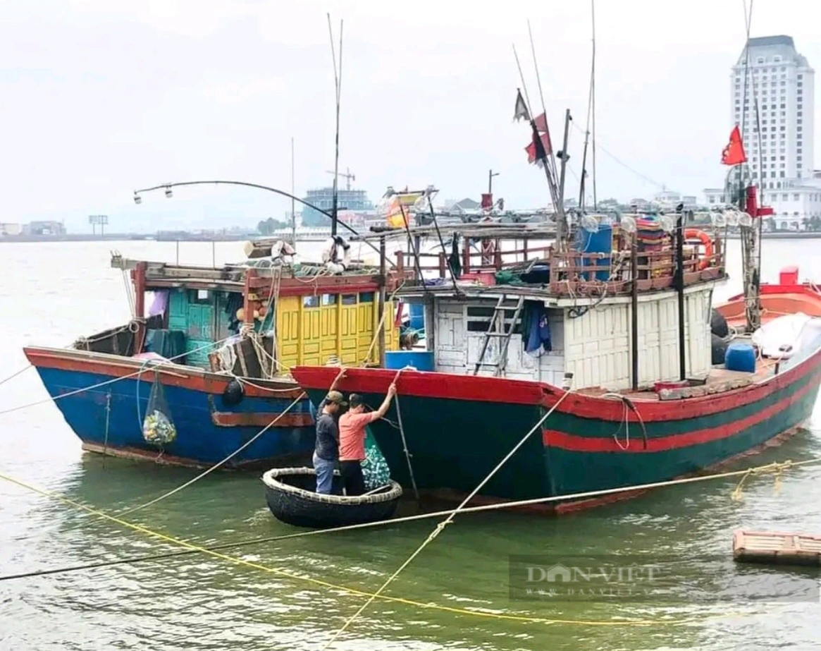 Tàu cá Quảng Bình cập bờ khoang đầy cá, còn mang thêm một thứ bất ngờ, đó là thứ gì vậy?- Ảnh 2.