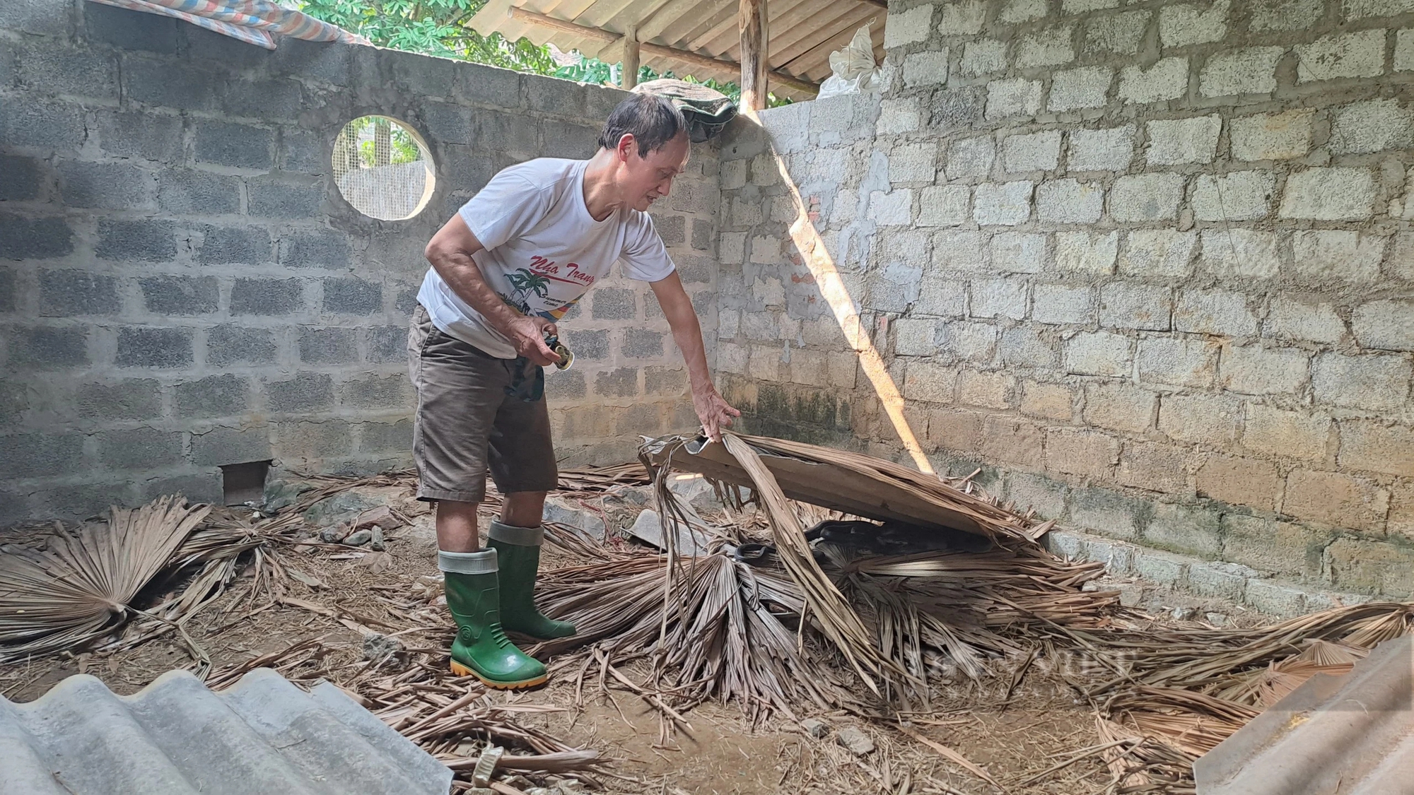 Trong nhà nuôi đàn rắn hổ mang bành 800 con, lại thêm đàn dúi, ông nông dân Thái Nguyên rủng rỉnh tiền - Ảnh 2.