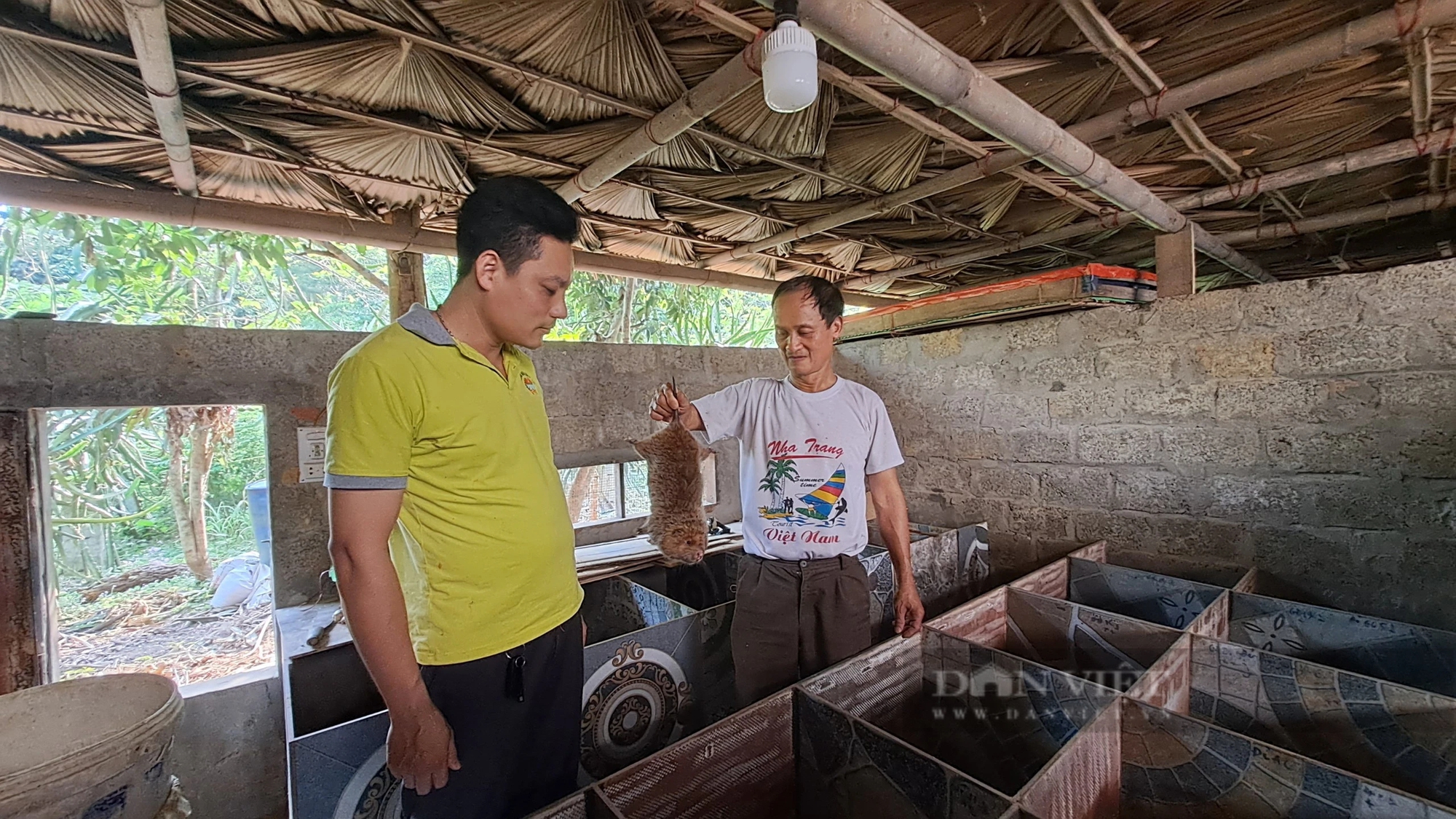 Trong nhà nuôi đàn rắn hổ mang bành 800 con, lại thêm đàn dúi, ông nông dân Thái Nguyên rủng rỉnh tiền - Ảnh 8.