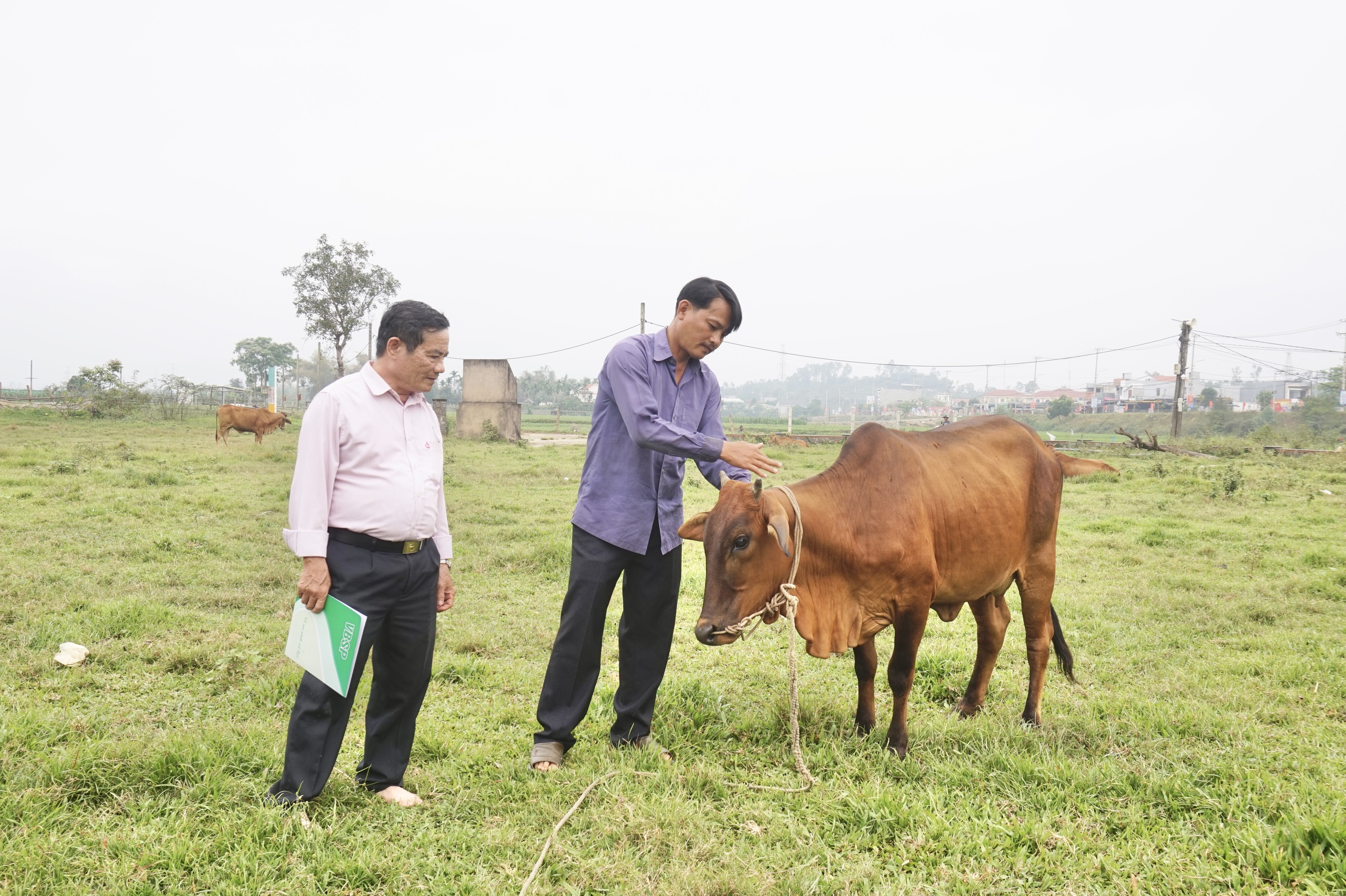 Vốn tín dụng chính sách giúp nông dân Đà Nẵng thoát nghèo bền vững- Ảnh 2.