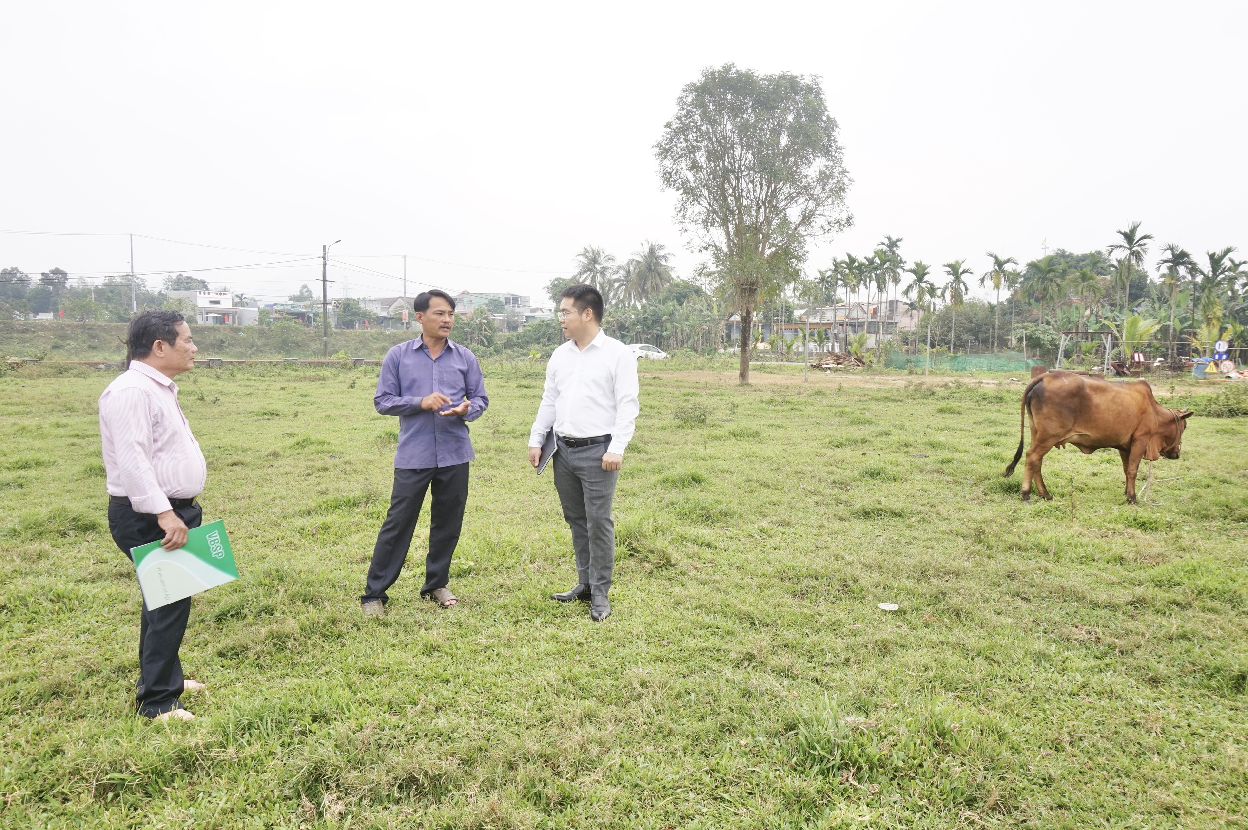 Vốn tín dụng chính sách giúp nông dân Đà Nẵng thoát nghèo bền vững- Ảnh 5.