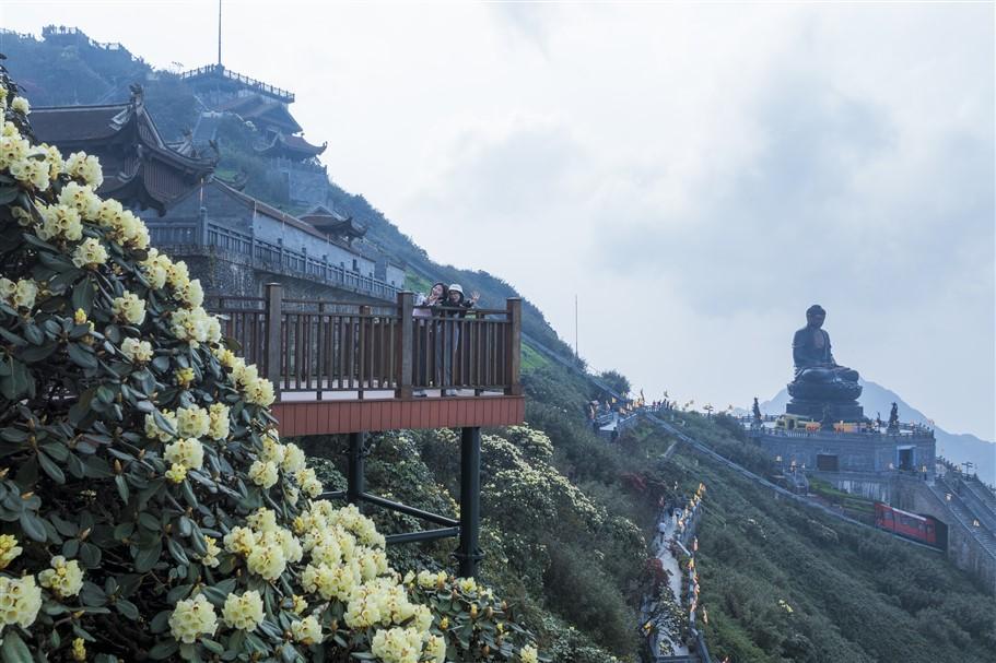 Đường hoa Đỗ quyên trên đỉnh Fansipan đẹp tựa chốn thiên đường, hút hàng nghìn lượt khách check in- Ảnh 9.