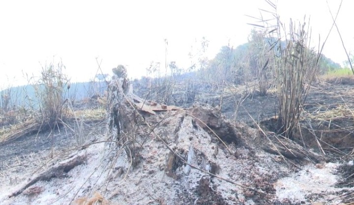 Một hộ dân dọn, đốt rẫy làm cháy gần 9ha rừng ở Kon Tum- Ảnh 2.