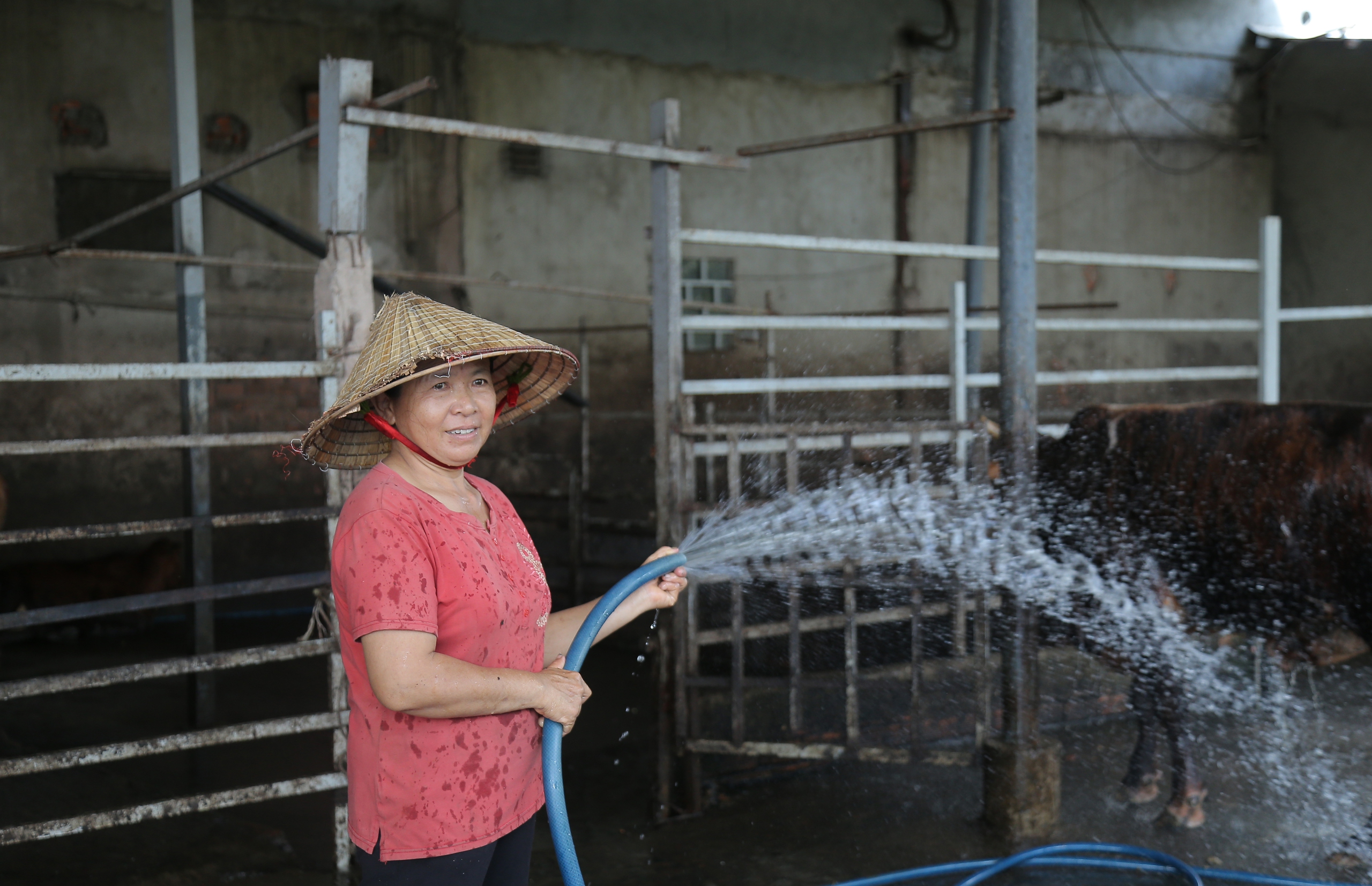 Hỗ trợ vốn cho nông dân TP.HCM sao cho hiệu quả- Ảnh 1.