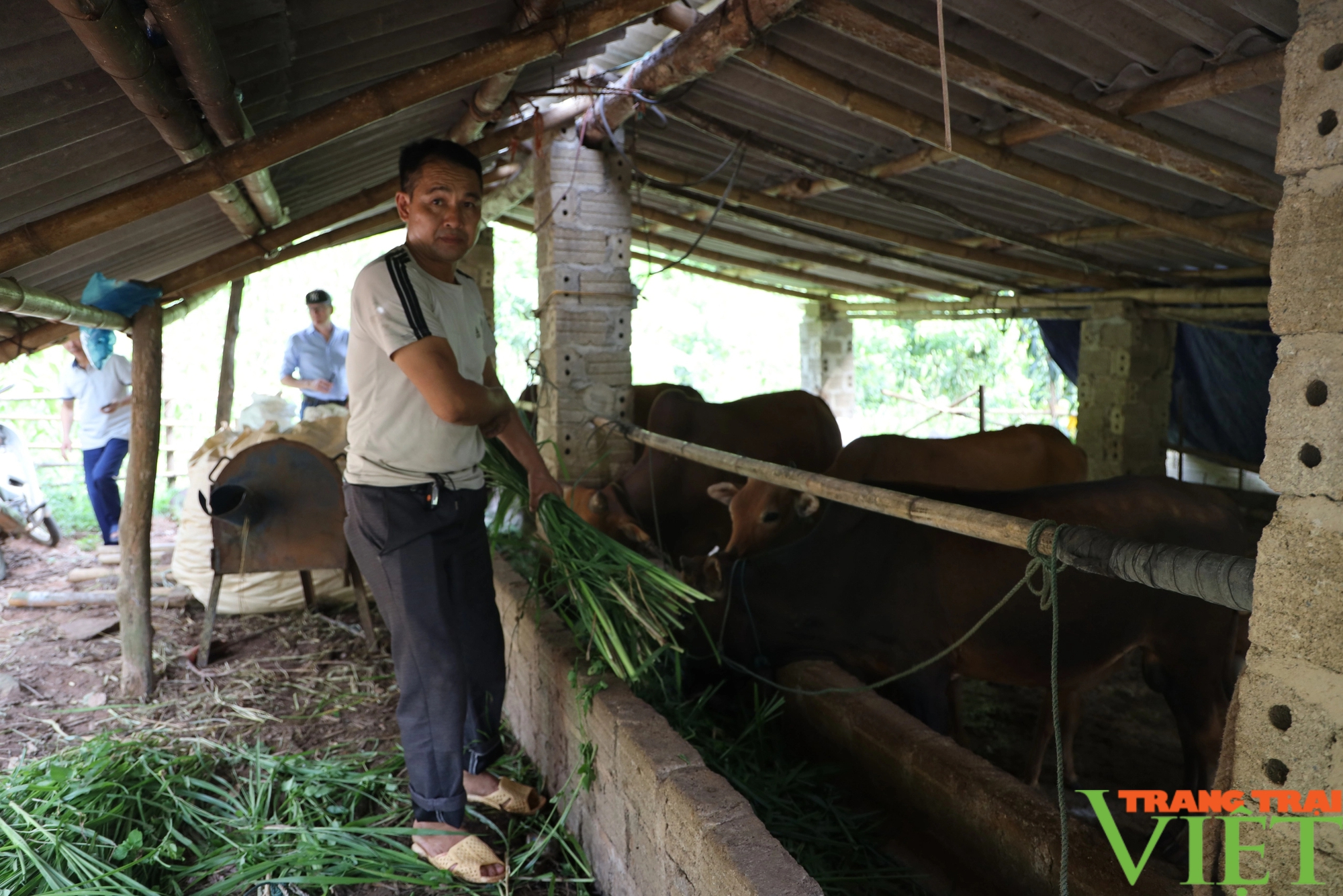 Quỹ hỗ trợ nông dân, thúc đẩy hội viên phát triển sản xuất, chuyển đổi cơ cấu cây trồng, vật nuôi- Ảnh 3.