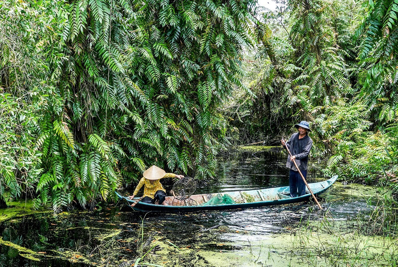 Luồn vào một khu rừng rậm nổi tiếng Cà Mau thấy dân bắt được rắn to bự, cá lóc đồng chắc nình nịch- Ảnh 1.