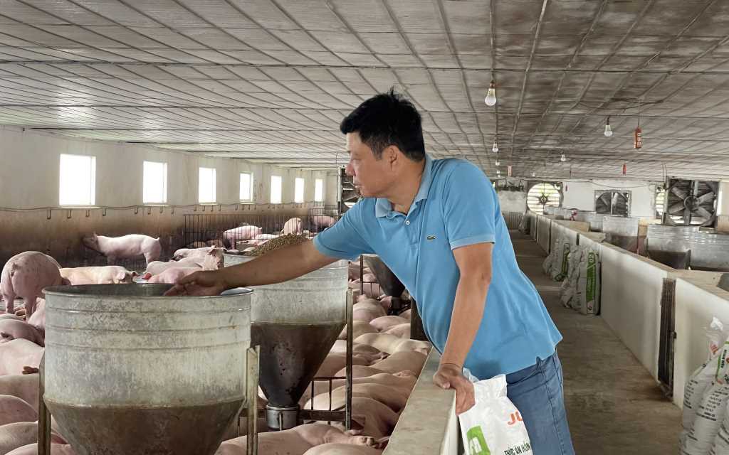 Tỷ phú nông dân ở Quảng Ninh làm giàu nhờ mô hình VAC, mỗi năm bán ra 6.000 con lợn
