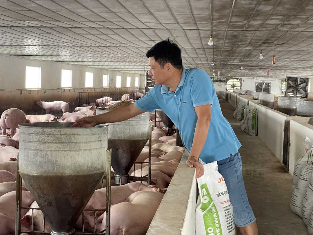 Tỷ phú nông dân ở Quảng Ninh làm giàu nhờ mô hình VAC, mỗi năm bán ra 6.000 con lợn- Ảnh 1.