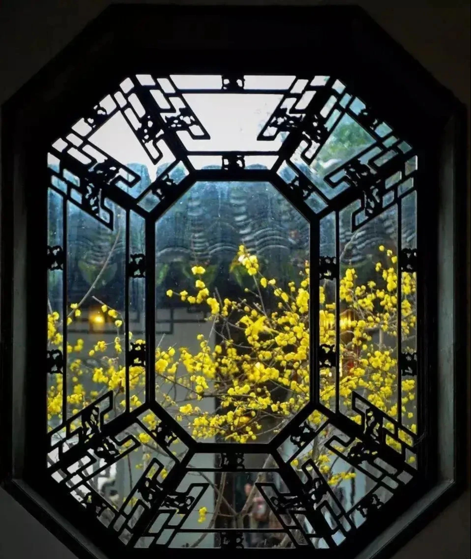 Nếu bạn có 1 khung cửa sổ, hãy trồng cây cảnh này để có góc thưởng trà đẹp mê hồn- Ảnh 9.