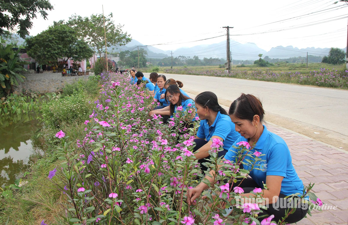 Đường nông thôn mới ở huyện này của Tuyên Quang đẹp mê li, tím hoa dừa cạn, xanh màu cây cảnh- Ảnh 2.
