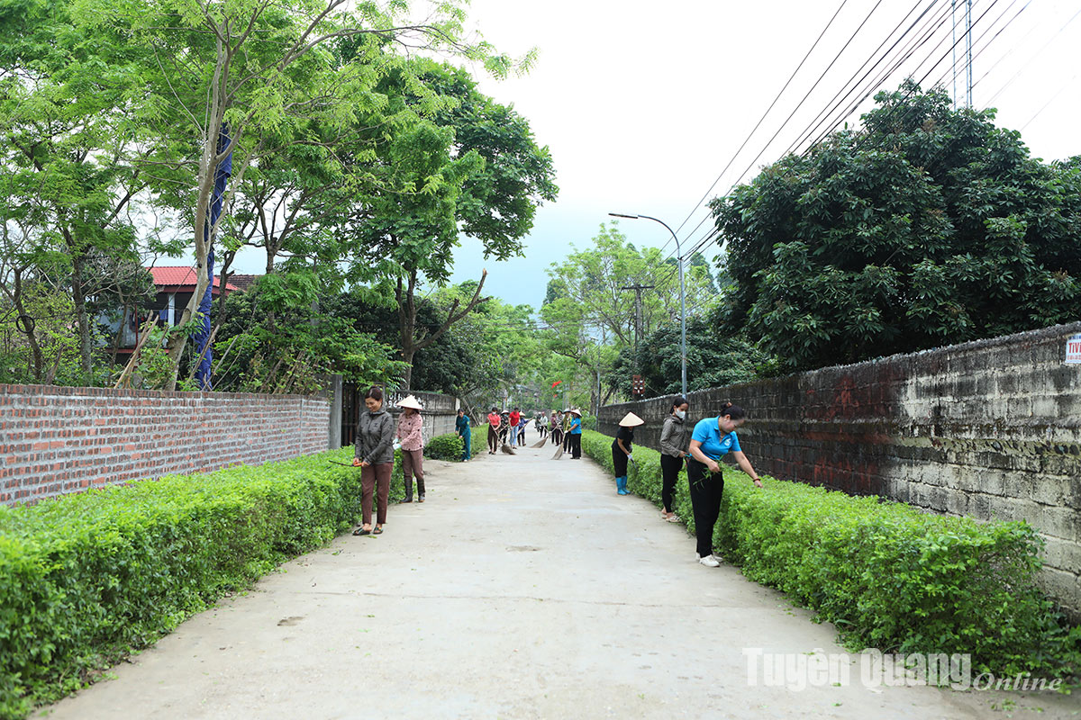 Đường nông thôn mới ở huyện này của Tuyên Quang đẹp mê li, tím hoa dừa cạn, xanh màu cây cảnh- Ảnh 1.