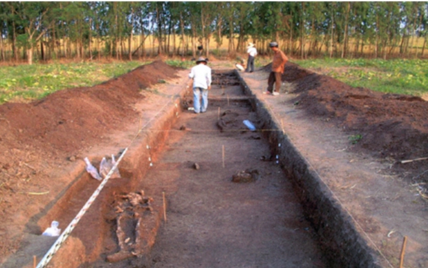 Phát lộ vô số hiện vật cổ xưa khi đào khảo cổ cái gò đất ở một xã vùng Đồng Tháp Mười tại Long An