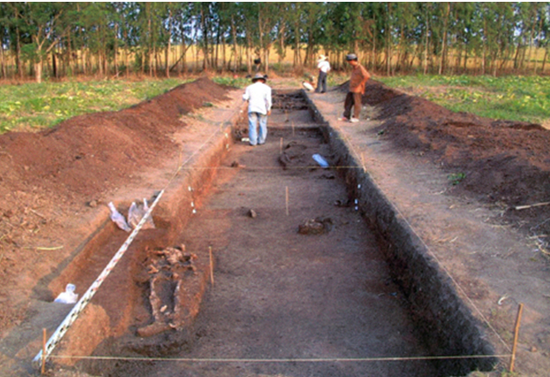 Phát lộ vô số hiện vật cổ xưa khi đào khảo cổ cái gò đất ở một xã vùng Đồng Tháp Mười tại Long An- Ảnh 2.