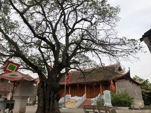 Ba xã 'làng văn' vang danh đất khoa bảng nổi tiếng Việt Nam thời phong kiến nay là vùng nào của tỉnh Vĩnh Phúc- Ảnh 1.