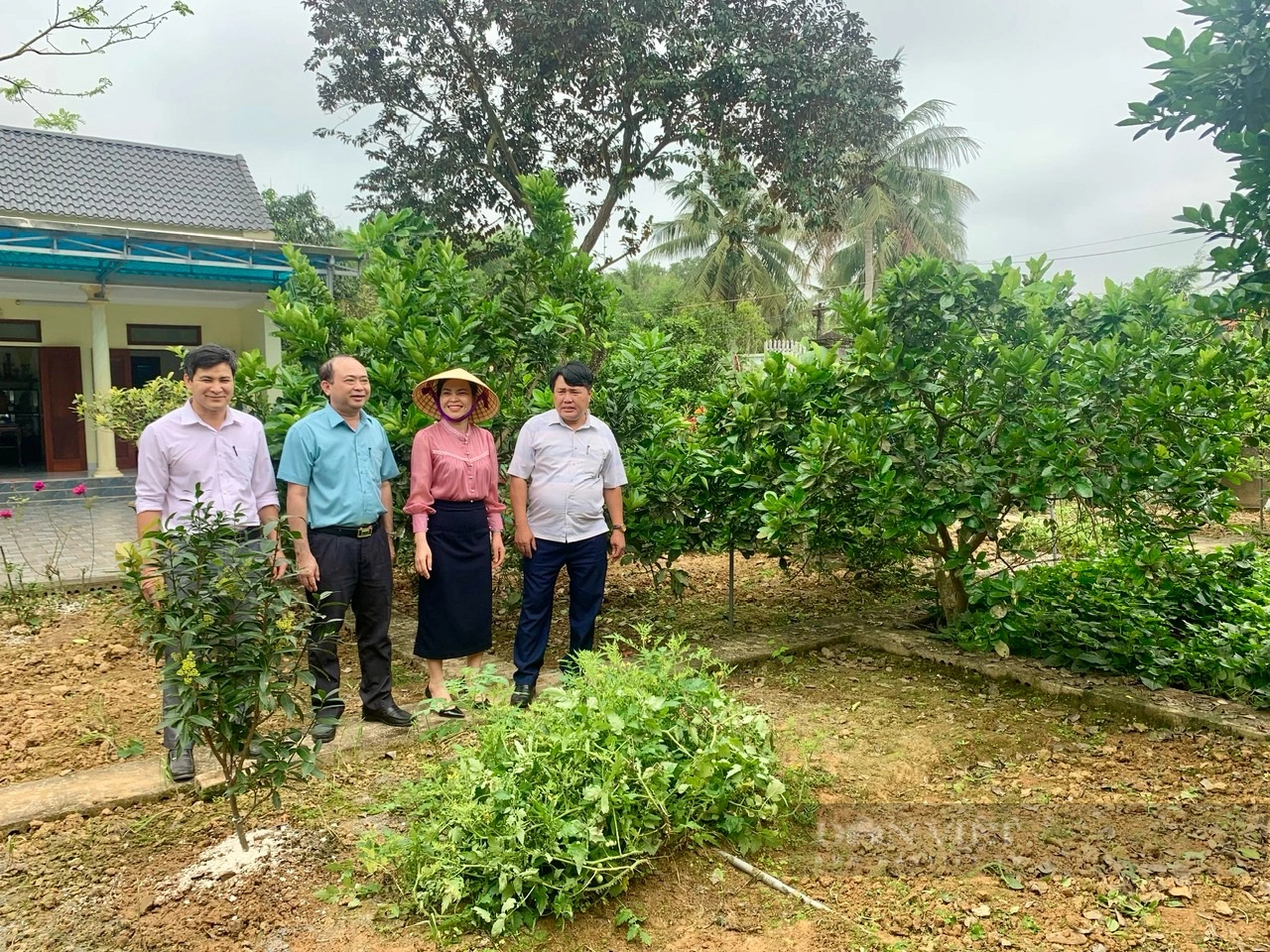 Thanh Hóa: Hội Nông dân xã Trường Trung, huyện Nông Cống hỗ trợ hội viên phát triển kinh tế- Ảnh 1.