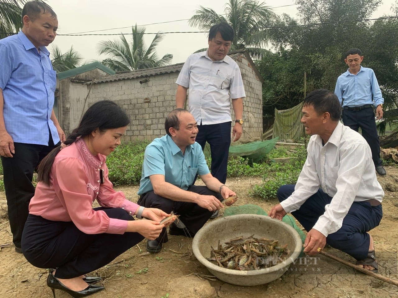 Thanh Hóa: Hội Nông dân xã Trường Trung, huyện Nông Cống hỗ trợ hội viên phát triển kinh tế- Ảnh 2.