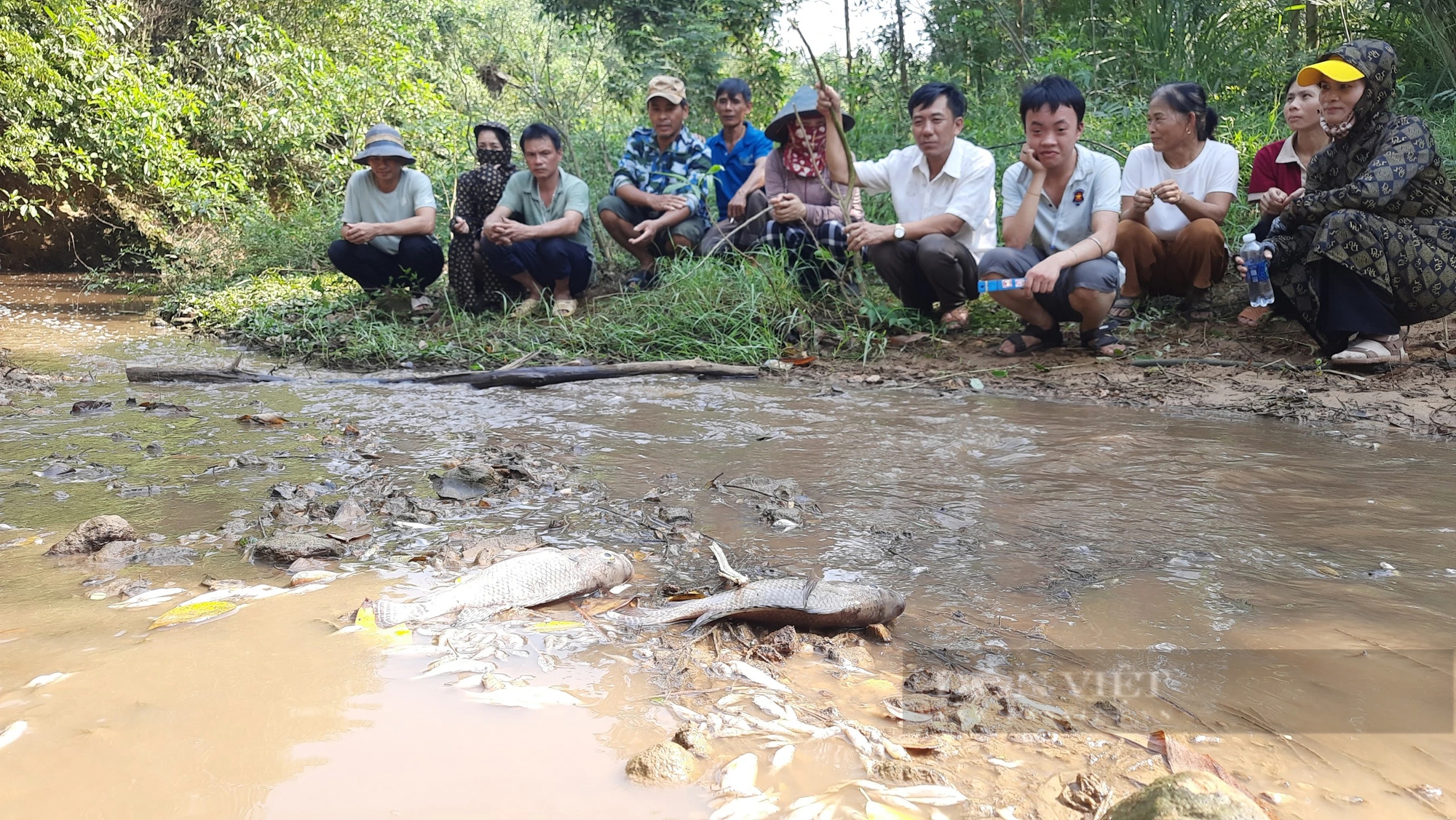 Xác minh, kiểm tra hiện trường trại nuôi lợn công nghệ cao bị nghi xả thải, khiến cá chết hàng loạt ở Quảng Trị- Ảnh 1.