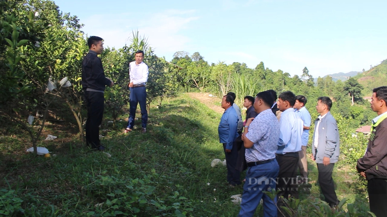 Dân Sơn La có của ăn của để, hiệu quả chăn nuôi, trồng trọt tốt hơn khi nông dân tham gia kinh tế tập thể- Ảnh 5.