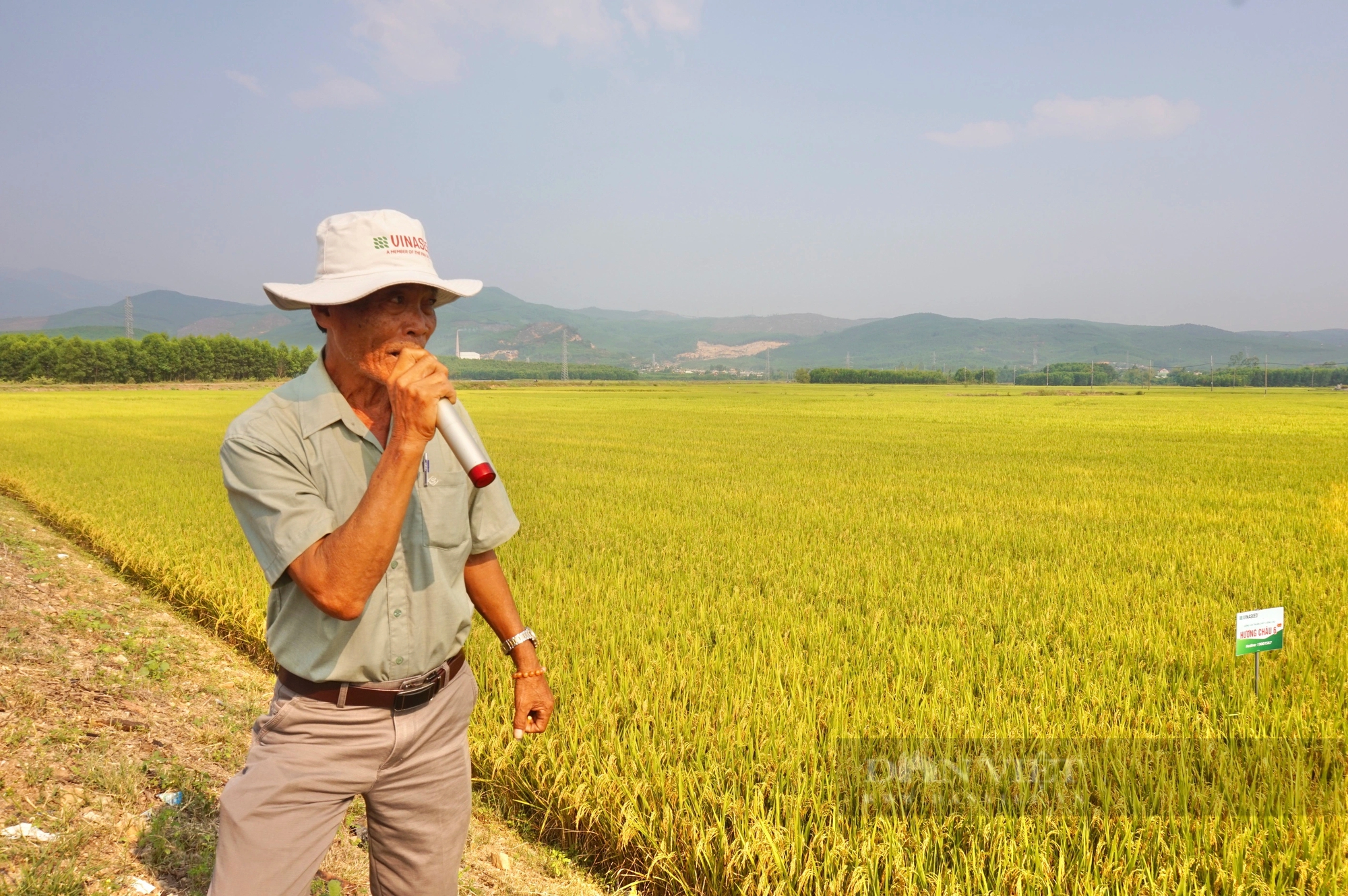 Bộ đôi giống lúa của Vinaseed có đặc tính gì mà nông dân Quảng Nam thích thú?- Ảnh 8.