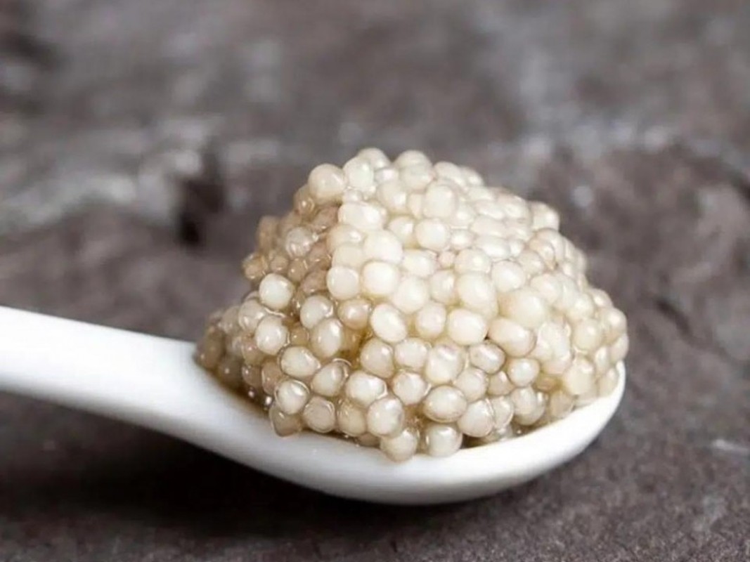 Lý do gì khiến trứng cá Caviar đắt bậc nhất hành tinh?- Ảnh 11.