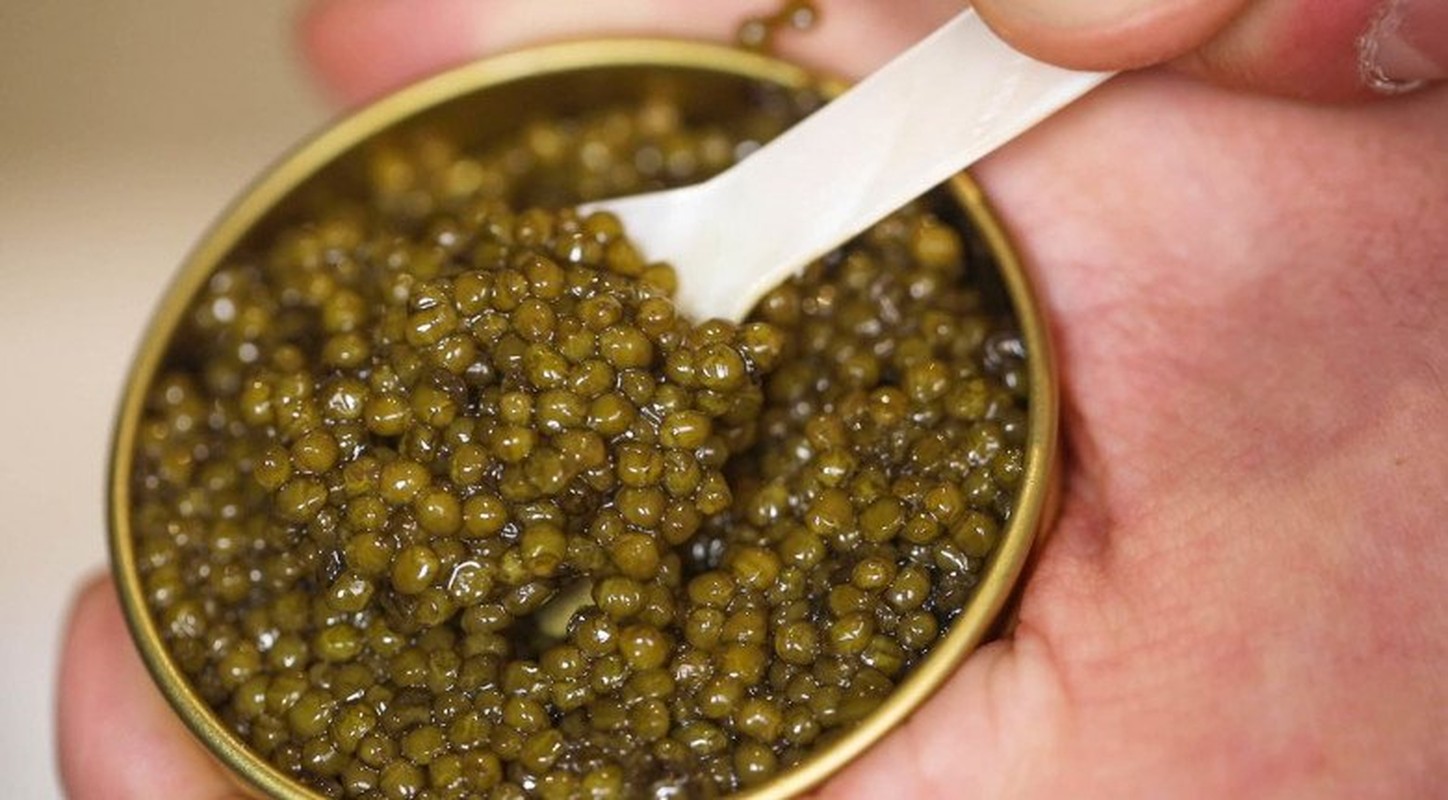 Lý do gì khiến trứng cá Caviar đắt bậc nhất hành tinh?- Ảnh 13.