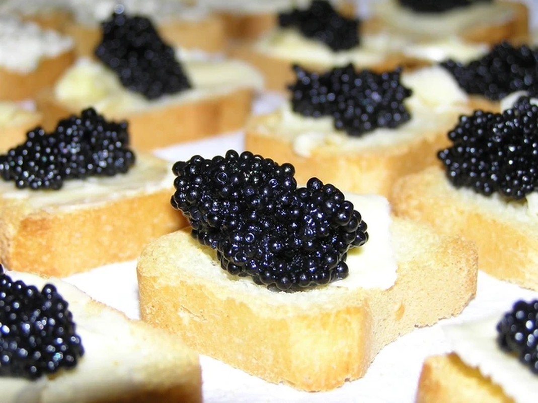 Lý do gì khiến trứng cá Caviar đắt bậc nhất hành tinh?- Ảnh 8.
