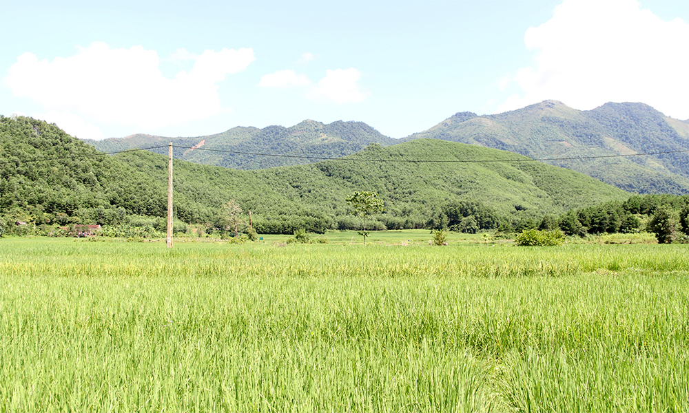Bắc Giang phê duyệt kế hoạch sử dụng đất huyện Yên Thế, Sơn Động, có 567,24ha đất nông nghiệp bị thu hồi
- Ảnh 1.