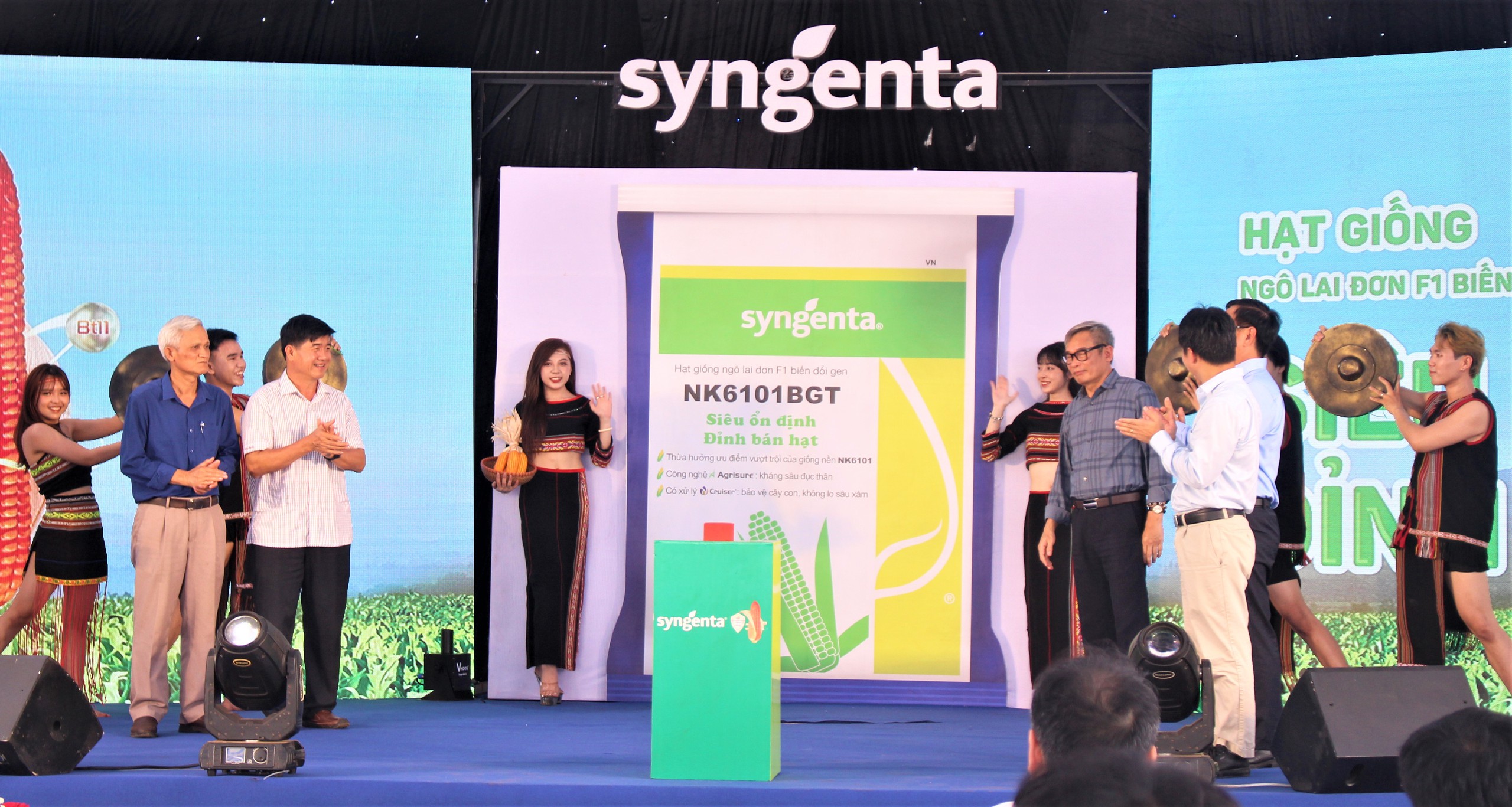 Syngenta ra mắt sản phẩm giống ngô giải quyết mối lo sâu đục thân, năng suất lên đến 9 tấn/ha- Ảnh 11.