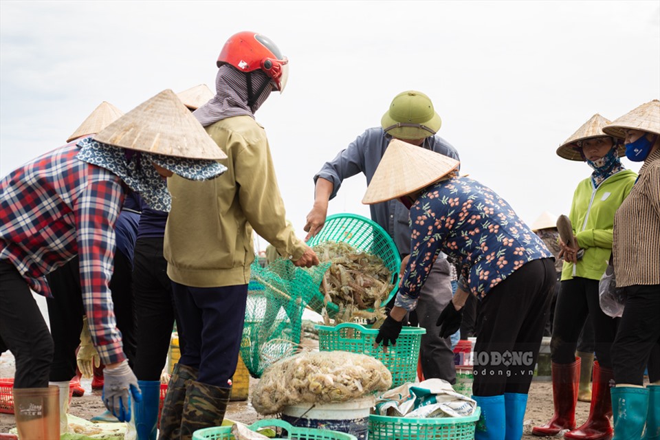 Nằm ngay một khu rừng nổi tiếng, chợ ngay sát biển ở một xã của Nam Định la liệt tôm tươi, cá ngon- Ảnh 11.