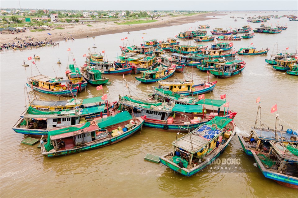 Nằm ngay một khu rừng nổi tiếng, chợ ngay sát biển ở một xã của Nam Định la liệt tôm tươi, cá ngon- Ảnh 2.