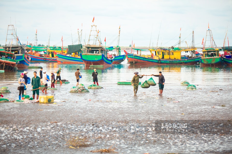 Nằm ngay một khu rừng nổi tiếng, chợ ngay sát biển ở một xã của Nam Định la liệt tôm tươi, cá ngon- Ảnh 3.
