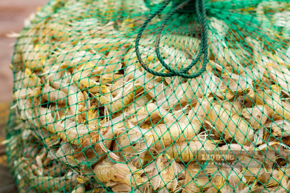 Nằm ngay một khu rừng nổi tiếng, chợ ngay sát biển ở một xã của Nam Định la liệt tôm tươi, cá ngon- Ảnh 5.