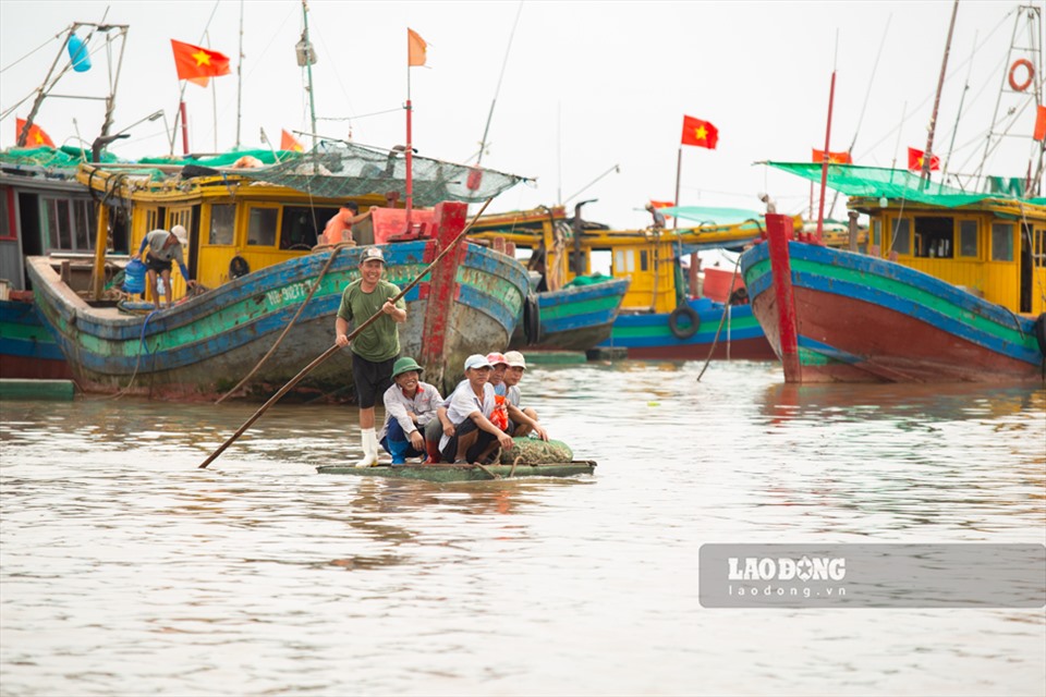 Nằm ngay một khu rừng nổi tiếng, chợ ngay sát biển ở một xã của Nam Định la liệt tôm tươi, cá ngon- Ảnh 8.