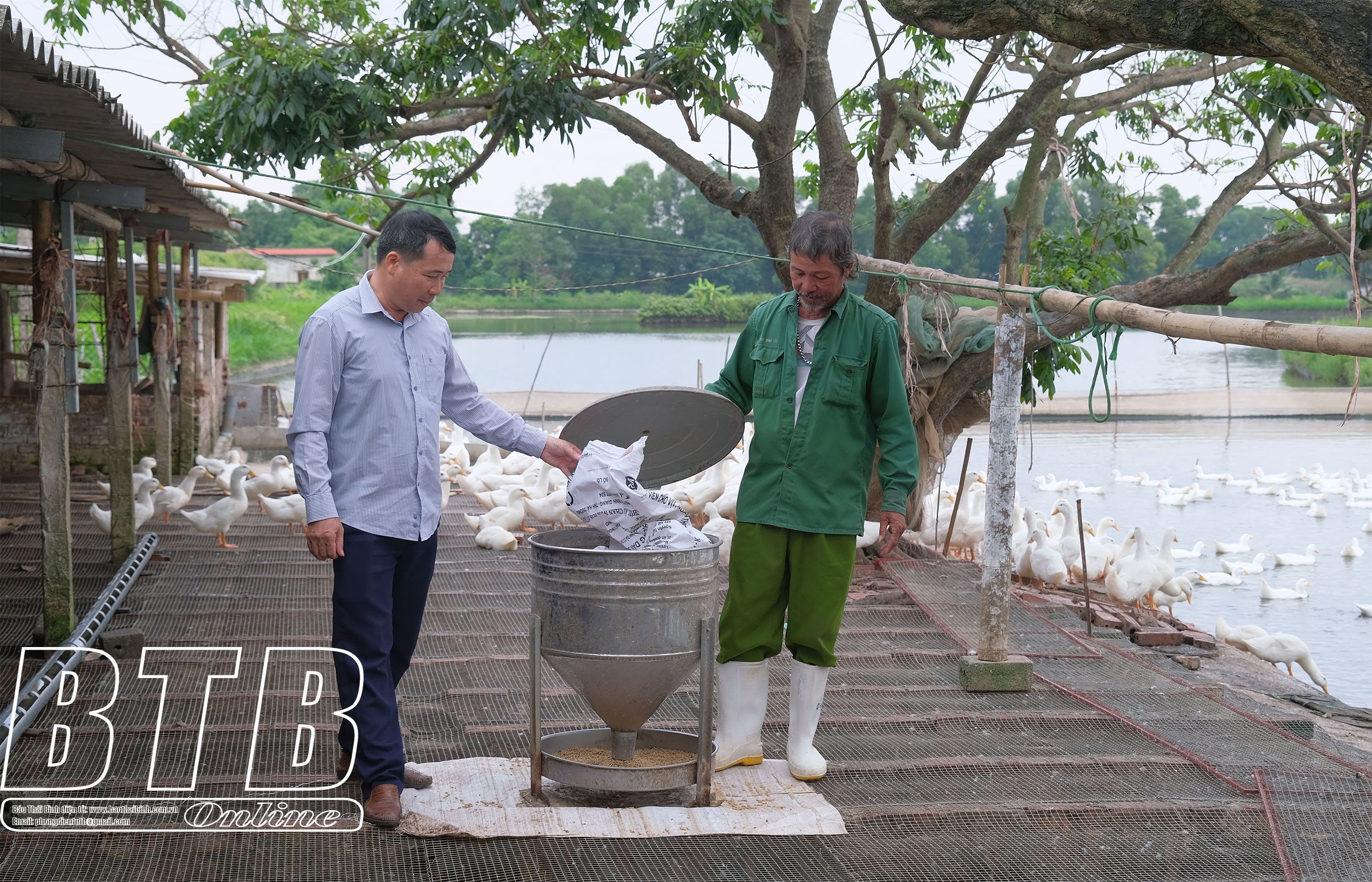 Anh Phượng Hưng Hà, chị Thúy Đông Hưng, anh Phướng Thái Thụy, mỗi người một cách làm mà đều thành triệu phú - Ảnh 4.