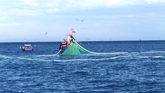 Hành trình gỡ thẻ vàng IUU: Ngư dân Quảng Ngãi hiện đại hoá tàu cá, hiệu quả khai thác tăng gấp 10 lần (Bài 5)- Ảnh 8.