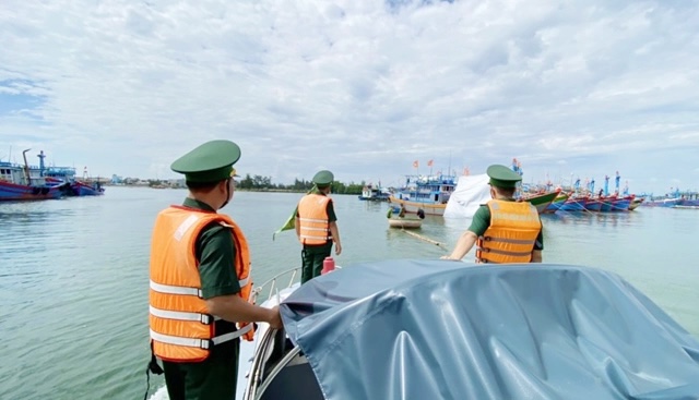 Hành trình gỡ thẻ vàng IUU: Ngư dân Quảng Ngãi hiện đại hoá tàu cá, hiệu quả khai thác tăng gấp 10 lần (Bài 5)- Ảnh 10.