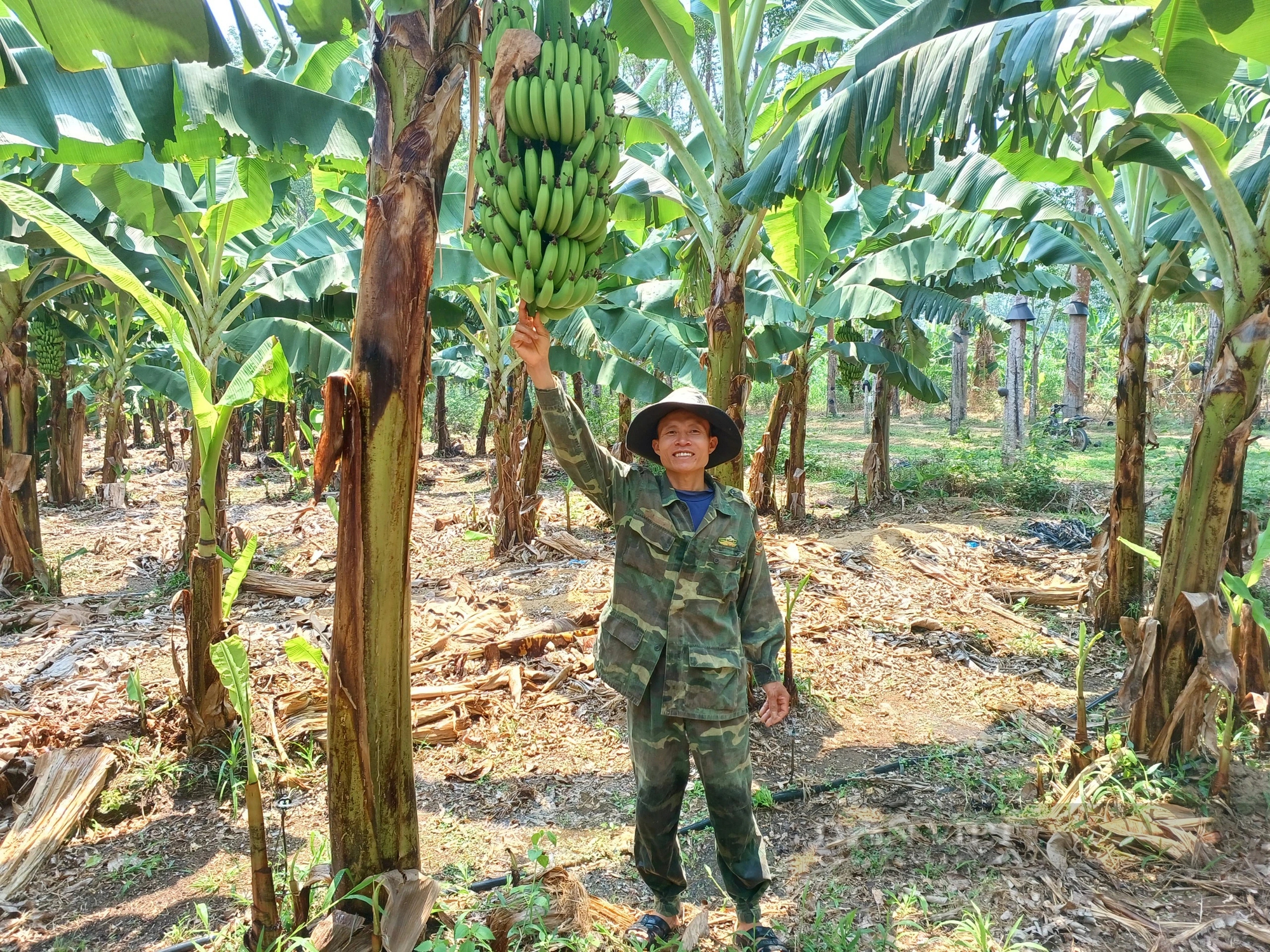 Mặc kệ xóm làng chê, anh nông dân ở Kon Tum quyết trồng cây cho "ăn kham khổ", ai ngờ lại mê- Ảnh 5.