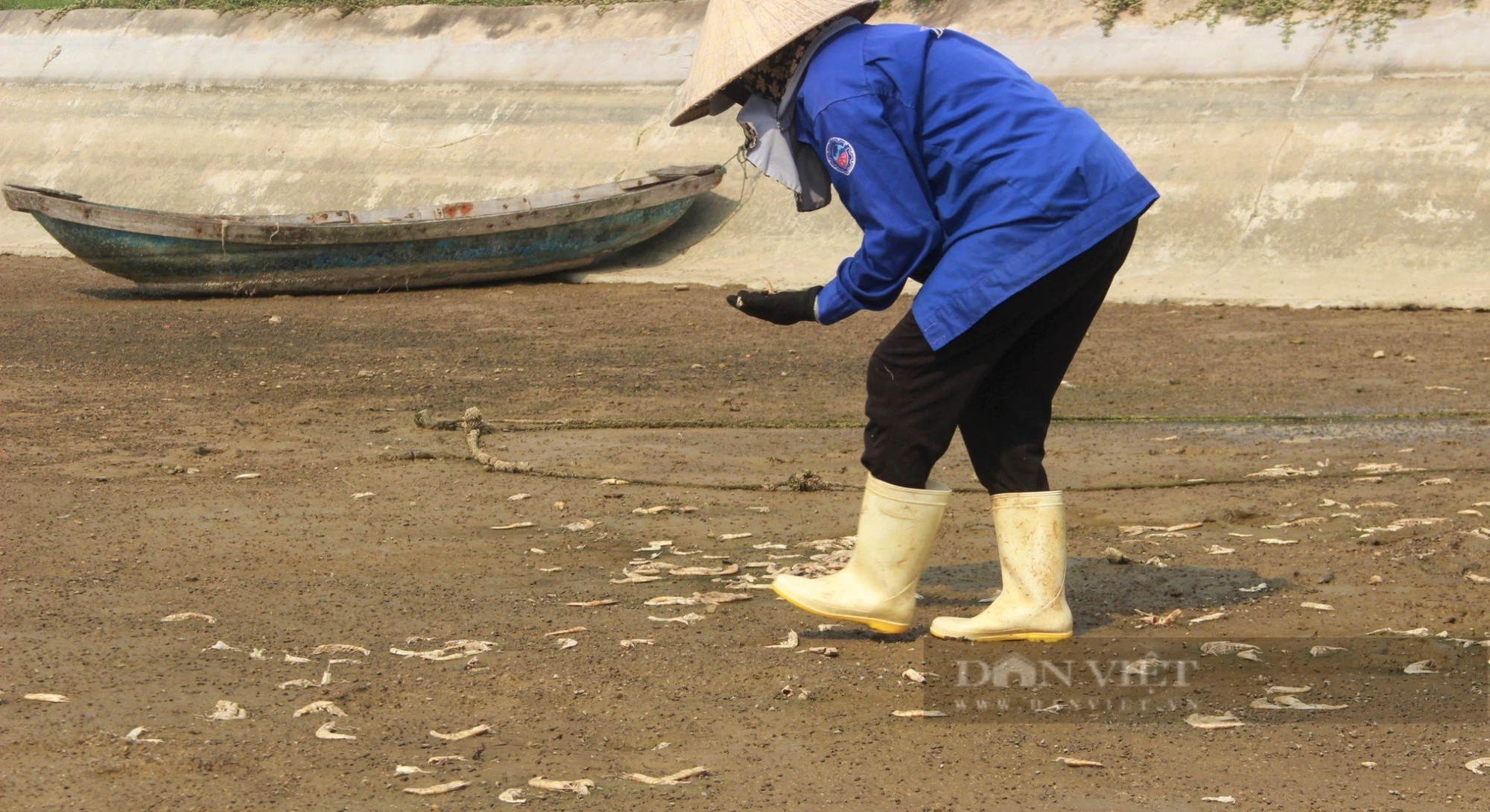 Xác tôm la liệt khắp hồ nuôi, sau một đêm dân nơi này ở Nghệ An mất trắng tiền tỷ- Ảnh 1.