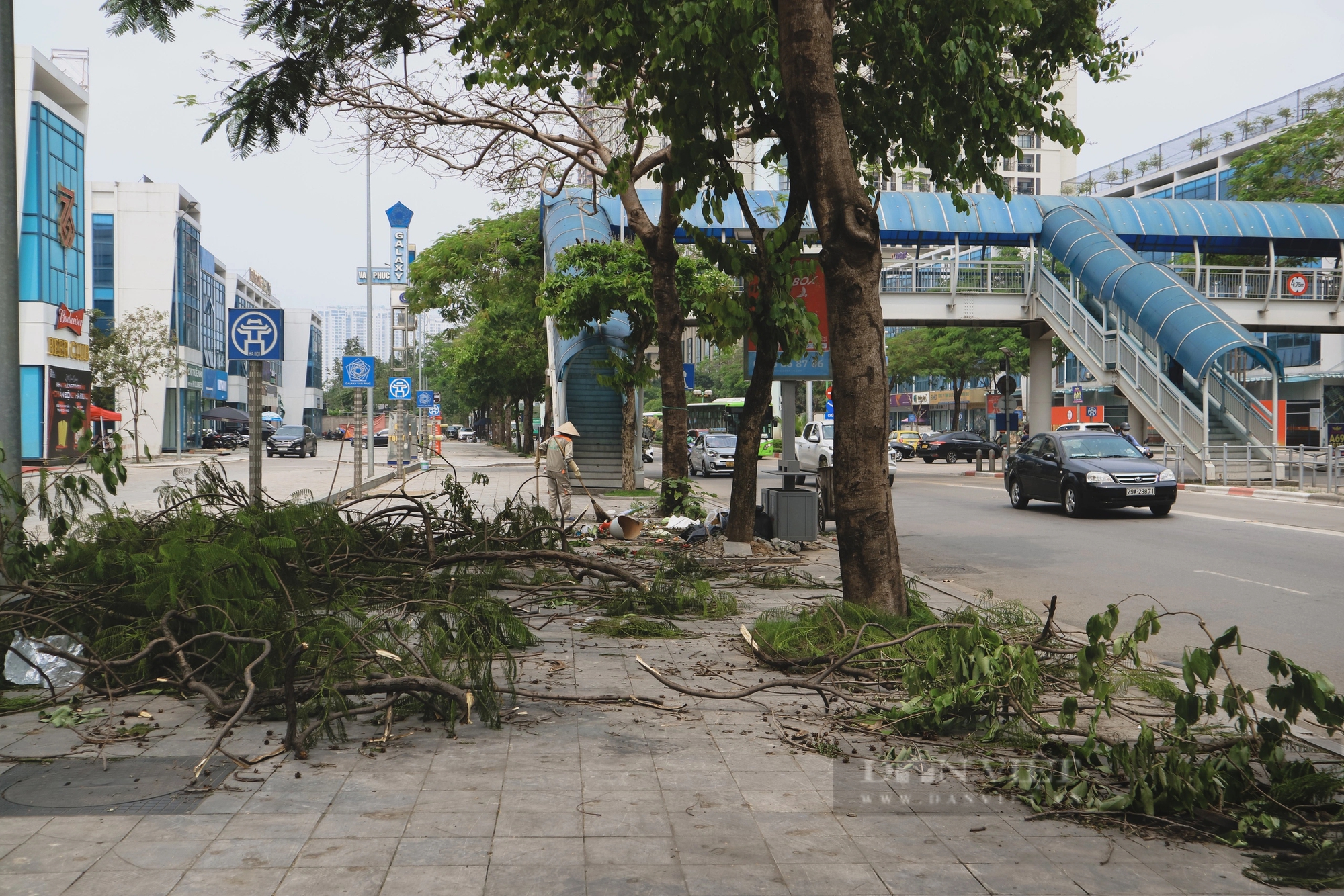 Nhiều ngày sau cơn giông, một số tuyến đường ở Hà Nội vẫn ngổn ngang cây đổ- Ảnh 3.